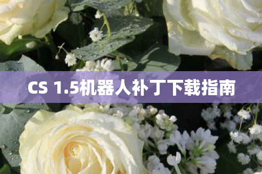 CS 1.5机器人补丁下载指南