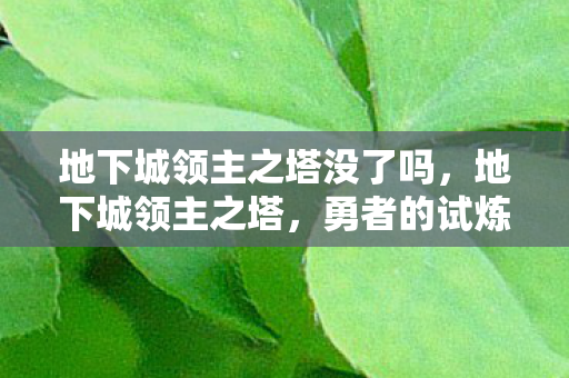 地下城领主之塔没了吗,地下城领主之塔,勇者的试炼场 地下城领主之塔没了吗,地下城领主之塔,勇者的试炼场