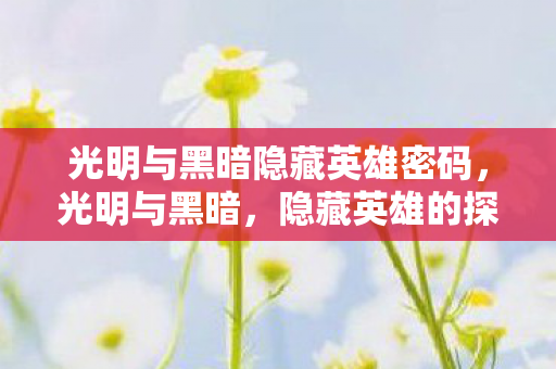 光明与黑暗隐藏英雄密码，光明与黑暗，隐藏英雄的探索之旅