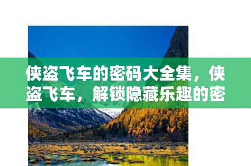 侠盗飞车的密码大全集，侠盗飞车，解锁隐藏乐趣的密码