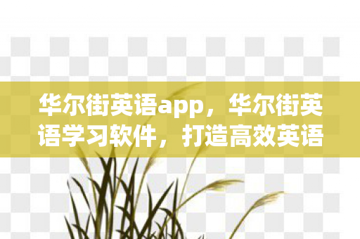 华尔街英语app，华尔街英语学习软件，打造高效英语学习新体验