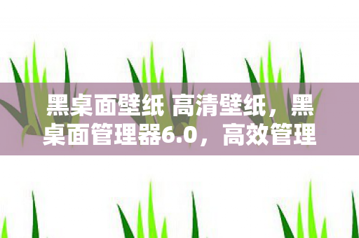 黑桌面壁纸 高清壁纸，黑桌面管理器6.0，高效管理，轻松提升工作效率