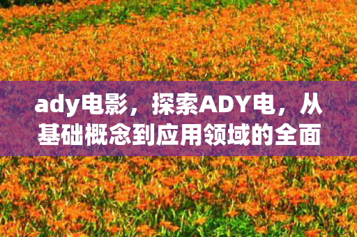 ady电影，探索ADY电，从基础概念到应用领域的全面解析