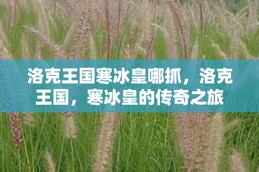 洛克王国寒冰皇哪抓，洛克王国，寒冰皇的传奇之旅