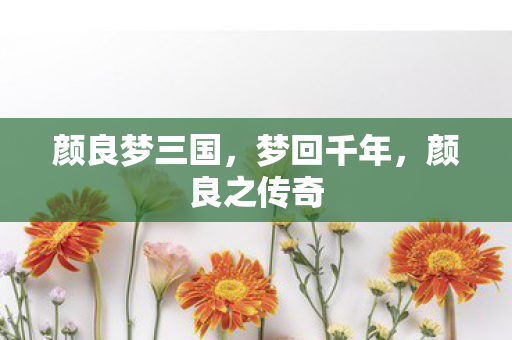 颜良梦三国，梦回千年，颜良之传奇