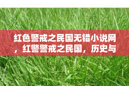 红色警戒之民国无错小说网,红警警戒之民国,历史与游戏的奇妙融合 红色警戒之民国无错小说网,红警警戒之民国,历史与游戏的奇妙融合