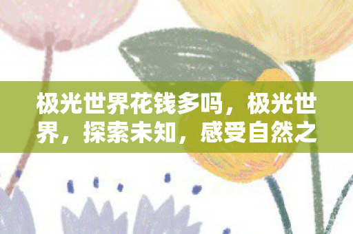 极光世界花钱多吗，极光世界，探索未知，感受自然之美，无需付费