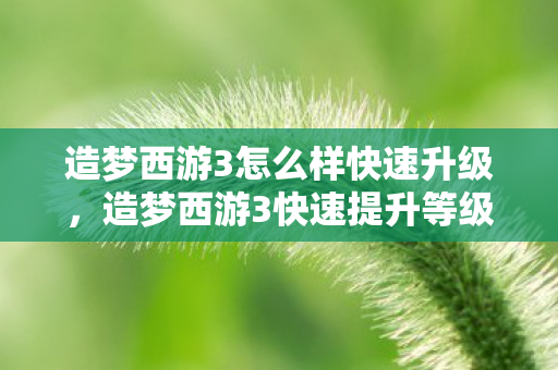 造梦西游3怎么样快速升级，造梦西游3快速提升等级攻略