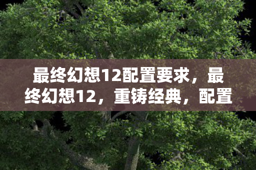 最终幻想12配置要求,最终幻想12,重铸经典,配置需求大揭秘 最终幻想12配置要求,最终幻想12,重铸经典,配置需求大揭秘
