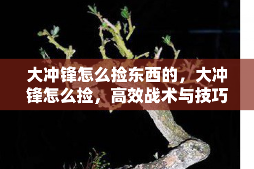 大冲锋怎么捡东西的,大冲锋怎么捡,高效战术与技巧解析 大冲锋怎么捡东西的,大冲锋怎么捡,高效战术与技巧解析