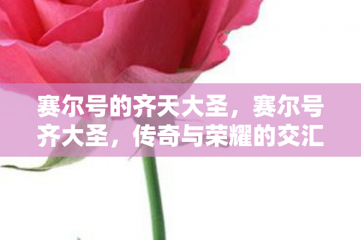 赛尔号的齐天大圣,赛尔号齐大圣,传奇与荣耀的交汇 赛尔号的齐天大圣,赛尔号齐大圣,传奇与荣耀的交汇