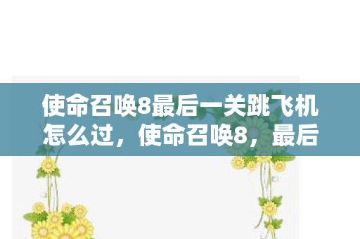 使命召唤8最后一关跳飞机怎么过,使命召唤8,最后一关的血与荣耀 使命召唤8最后一关跳飞机怎么过,使命召唤8,最后一关的血与荣耀