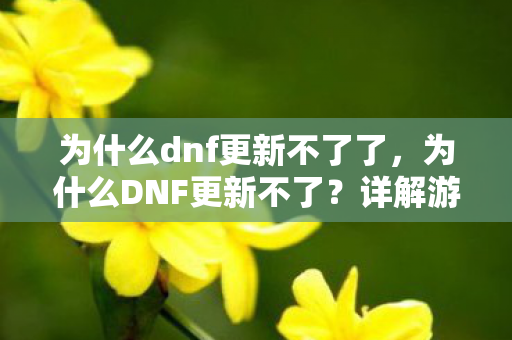 为什么dnf更新不了了，为什么DNF更新不了？详解游戏更新问题及其解决方案
