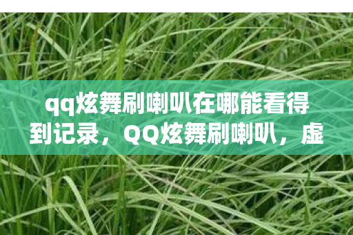 qq炫舞刷喇叭在哪能看得到记录,QQ炫舞刷喇叭,虚拟世界中的社交新风尚 qq炫舞刷喇叭在哪能看得到记录,QQ炫舞刷喇叭,虚拟世界中的社交新风尚