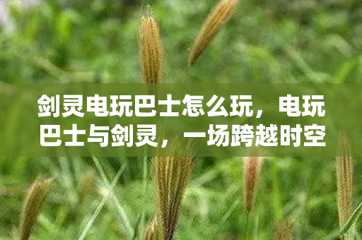 剑灵电玩巴士怎么玩,电玩巴士与剑灵,一场跨越时空的冒险之旅 剑灵电玩巴士怎么玩,电玩巴士与剑灵,一场跨越时空的冒险之旅