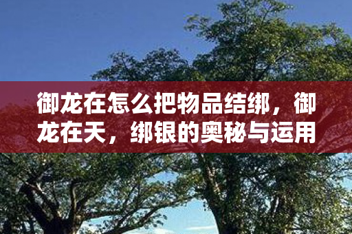 御龙在怎么把物品结绑，御龙在天，绑银的奥秘与运用