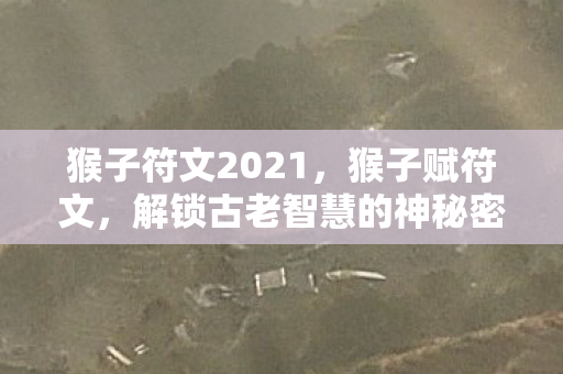 猴子符文2021，猴子赋符文，解锁古老智慧的神秘密码