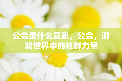 公会是什么意思，公会，游戏世界中的社群力量