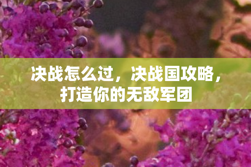 决战怎么过,决战国攻略,打造你的无敌军团 决战怎么过,决战国攻略,打造你的无敌军团