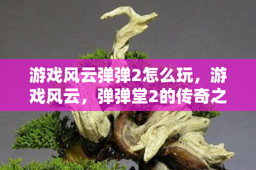 游戏风云弹弹2怎么玩,游戏风云,弹弹堂2的传奇之路 游戏风云弹弹2怎么玩,游戏风云,弹弹堂2的传奇之路