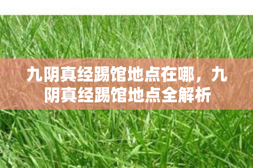 九阴真经踢馆地点在哪,九阴真经踢馆地点全解析 九阴真经踢馆地点在哪,九阴真经踢馆地点全解析