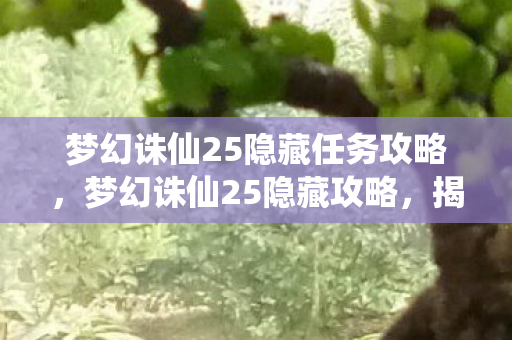 梦幻诛仙25隐藏任务攻略，梦幻诛仙25隐藏攻略，揭秘那些不为人知的秘密