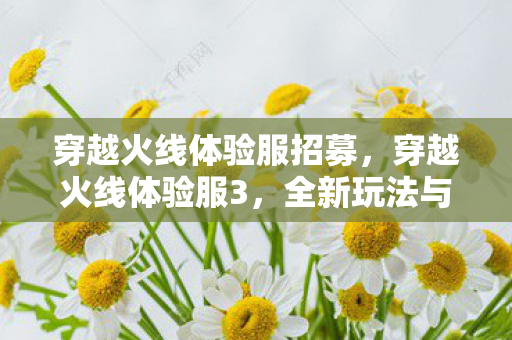 穿越火线体验服招募,穿越火线体验服3,全新玩法与改进,带你领略不一样的枪战世界 穿越火线体验服招募,穿越火线体验服3,全新玩法与改进,带你领略不一样的枪战世界