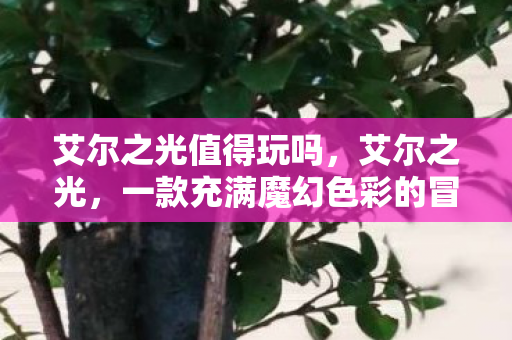 艾尔之光值得玩吗，艾尔之光，一款充满魔幻色彩的冒险游戏