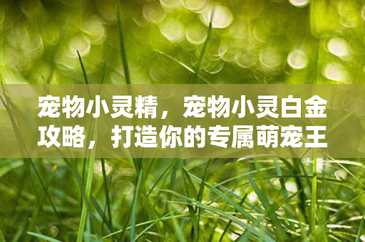 宠物小灵精，宠物小灵白金攻略，打造你的专属萌宠王国