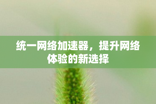 统一网络加速器，提升网络体验的新选择