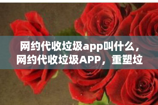 网约代收垃圾app叫什么，网约代收垃圾APP，重塑垃圾处理行业的未来之路
