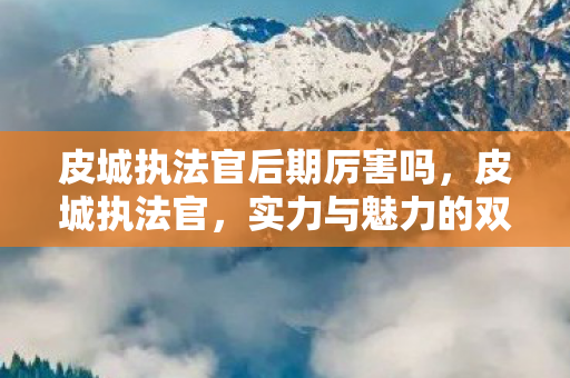 皮城执法官后期厉害吗，皮城执法官，实力与魅力的双重展现