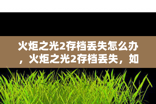 火炬之光2存档丢失怎么办，火炬之光2存档丢失，如何找回丢失的游戏进度？