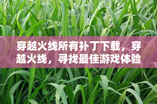 穿越火线所有补丁下载，穿越火线，寻找最佳游戏体验的补丁下载指南