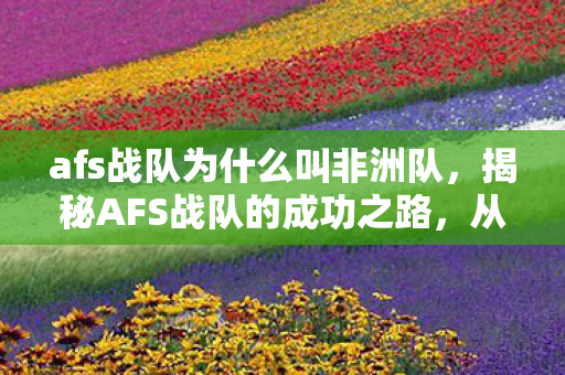 afs战队为什么叫非洲队，揭秘AFS战队的成功之路，从默默无闻到电竞巅峰的崛起之旅