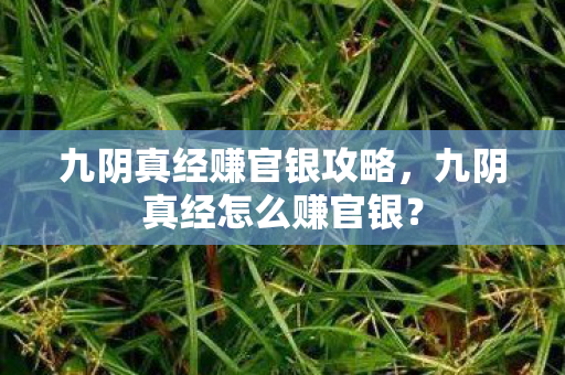 九阴真经赚官银攻略,九阴真经怎么赚官银? 九阴真经赚官银攻略,九阴真经怎么赚官银?