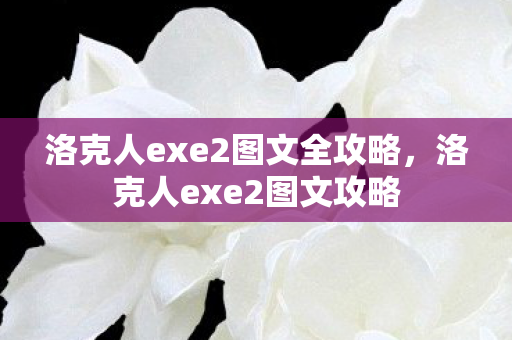 洛克人exe2图文全攻略，洛克人exe2图文攻略