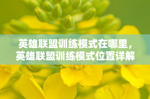 英雄联盟训练模式在哪里,英雄联盟训练模式位置详解 英雄联盟训练模式在哪里,英雄联盟训练模式位置详解