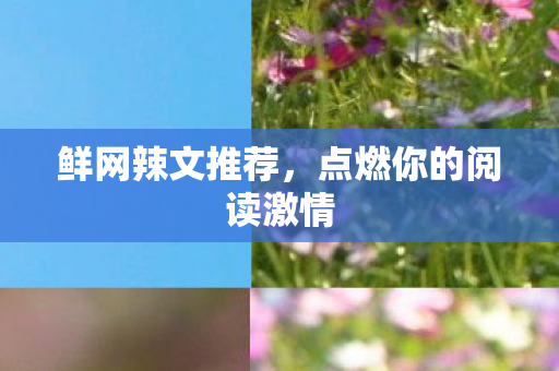 鲜网辣文推荐，点燃你的阅读激情