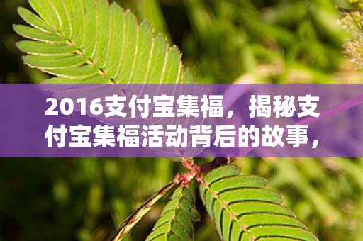2016支付宝集福，揭秘支付宝集福活动背后的故事，一场全民参与的盛宴