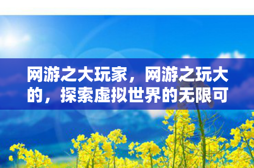 网游之大玩家，网游之玩大的，探索虚拟世界的无限可能