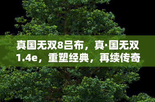 真国无双8吕布，真·国无双1.4e，重塑经典，再续传奇