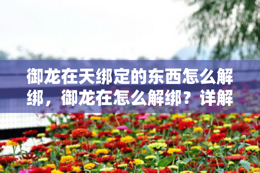 御龙在天绑定的东西怎么解绑，御龙在怎么解绑？详解解绑流程与注意事项