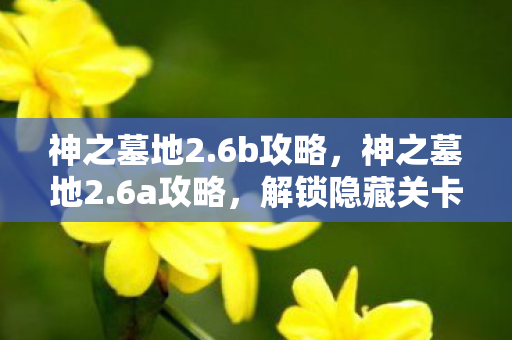 神之墓地2.6b攻略，神之墓地2.6a攻略，解锁隐藏关卡与角色，提升游戏乐趣