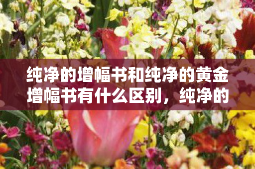 纯净的增幅书和纯净的黄金增幅书有什么区别,纯净的金增幅书,打造装备的神器 纯净的增幅书和纯净的黄金增幅书有什么区别,纯净的金增幅书,打造装备的神器