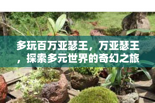 多玩百万亚瑟王，万亚瑟王，探索多元世界的奇幻之旅