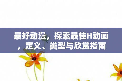 最好动漫，探索最佳H动画，定义、类型与欣赏指南