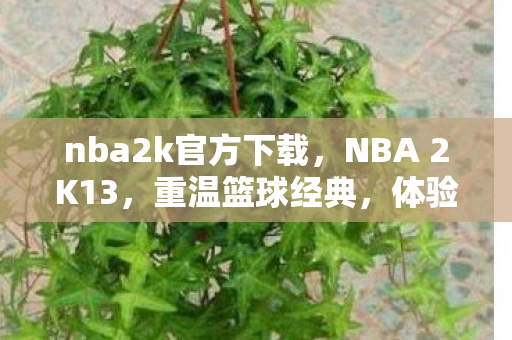 nba2k官方下载，NBA 2K13，重温篮球经典，体验最真实篮球游戏