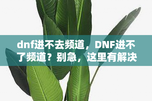 dnf进不去频道，DNF进不了频道？别急，这里有解决办法！