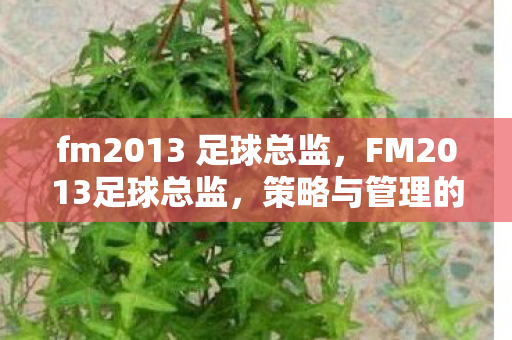 fm2013 足球总监，FM2013足球总监，策略与管理的艺术